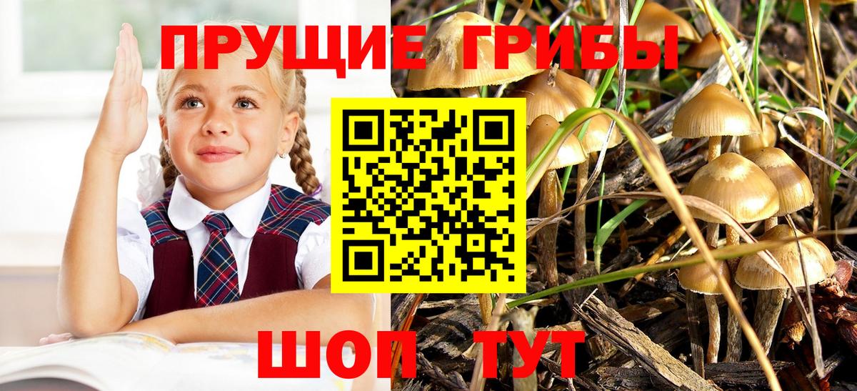 Галлюциногенные грибы прущие грибы  Псилоцибиновые грибы Magic Shrooms  Вход с VPN  Тихвин 