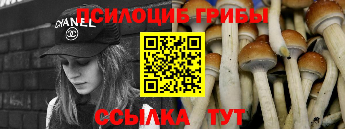 Экстази  А ПВП СК кристаллы  МАРИХУАНА  Тихвин  Вход с VPN  ГАШ  Меф   Кокаин 